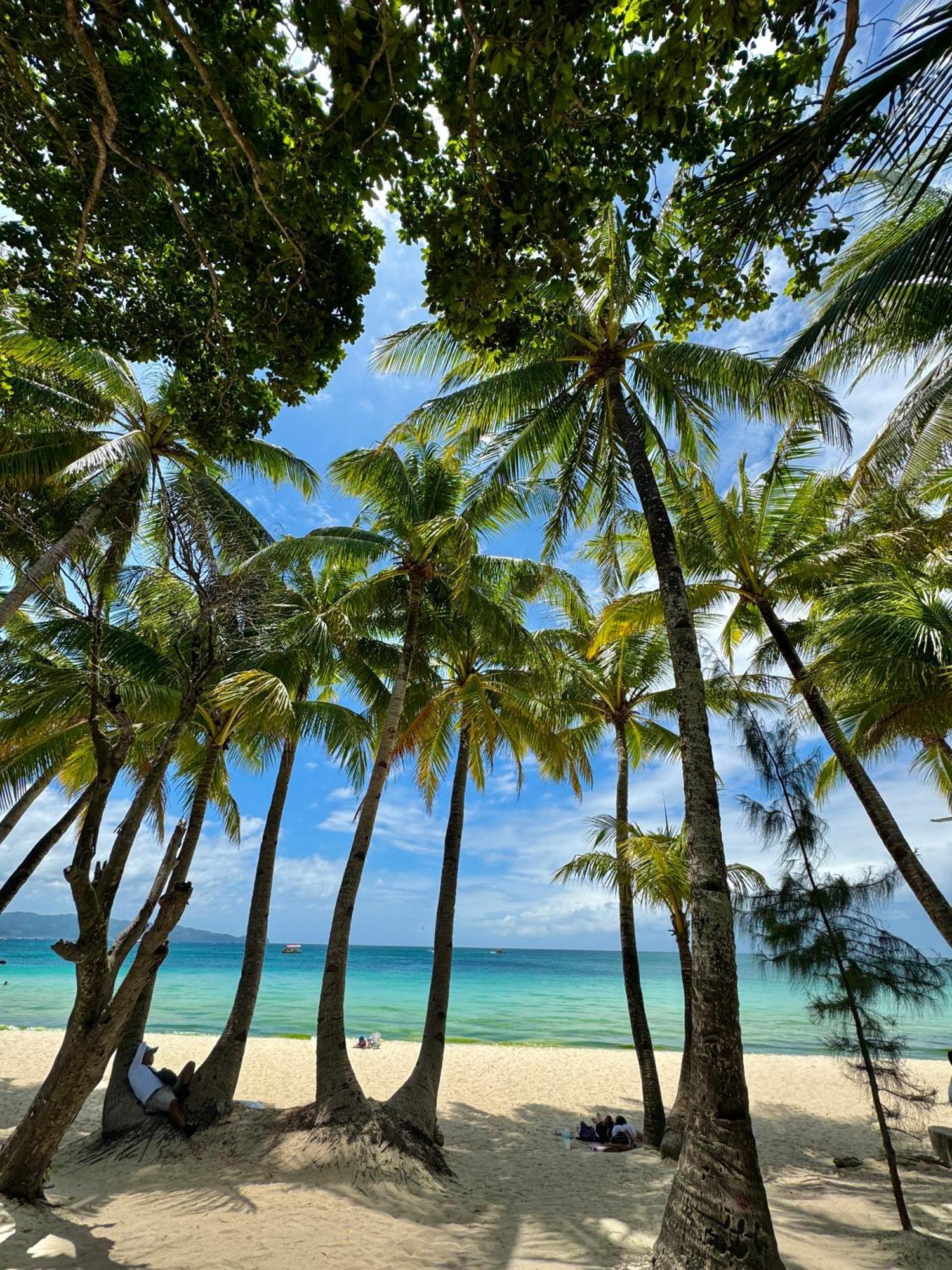 Casa Pilar Beach Resort Manoc-Manoc Eksteriør bilde