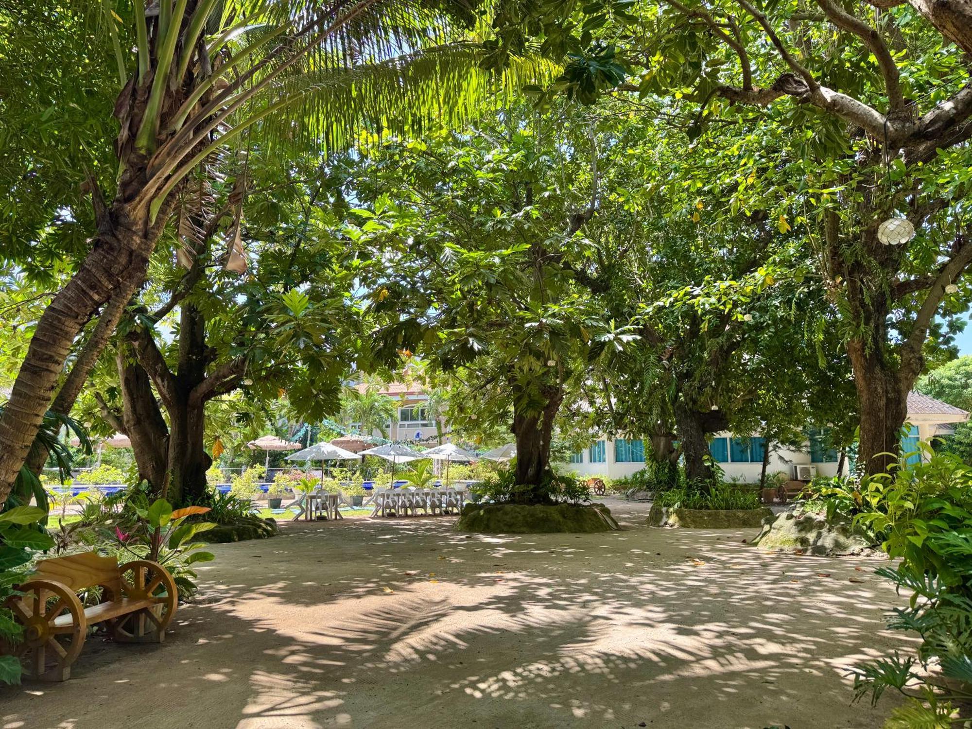 Casa Pilar Beach Resort Manoc-Manoc Eksteriør bilde